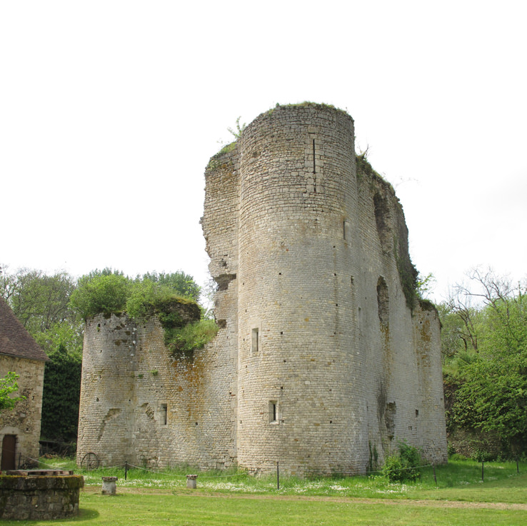 donjon du Mez-le-Maréchal