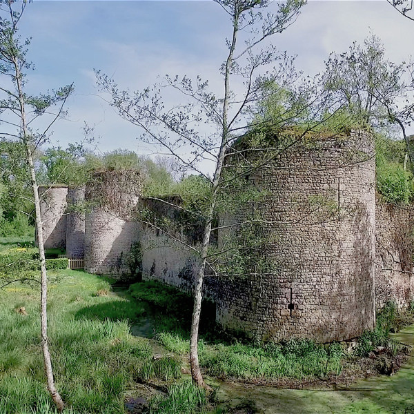 enceinte du château du Mez-le-Maréchal